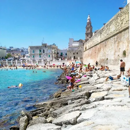 Summer Dreams Monopoli